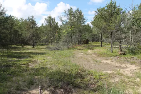 Trapper's Trail, Grayling, MI 49738 photo 3