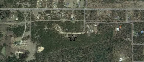 Trapper's Trail, Grayling, MI 49738 photo 2