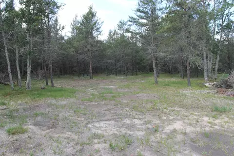 Trapper's Trail, Grayling, MI 49738 photo 8