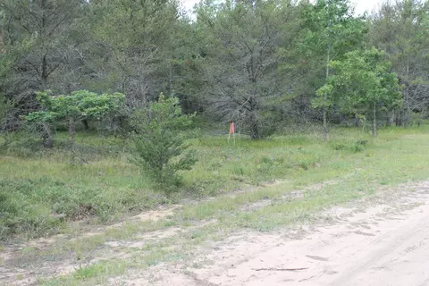 Trapper's Trail, Grayling, MI 49738 photo 9