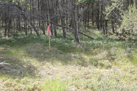 Trapper's Trail, Grayling, MI 49738 photo 4