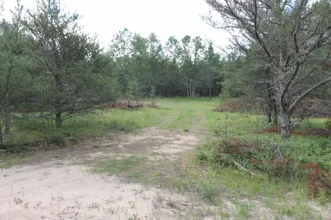 Trapper's Trail, Grayling, MI 49738 photo 10
