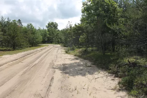 Trapper's Trail, Grayling, MI 49738 photo 12