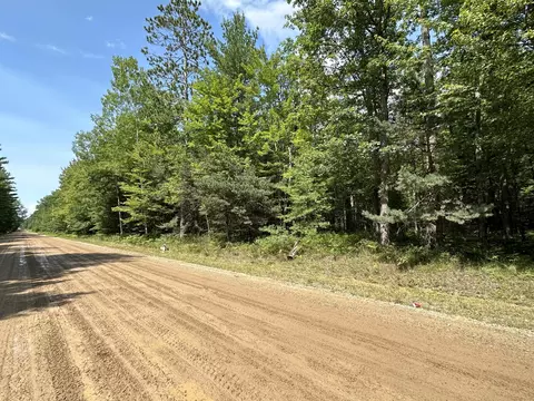 W Nestel Road, Houghton Lake, MI 48629
