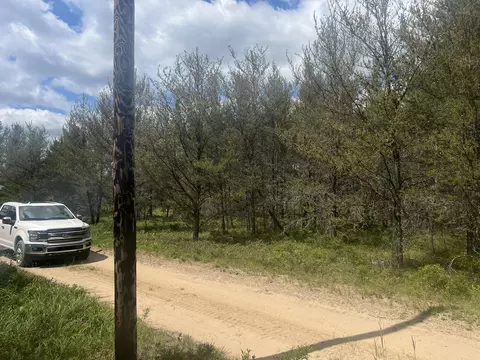 Pappys Trail, Grayling, MI 49738 photo 5