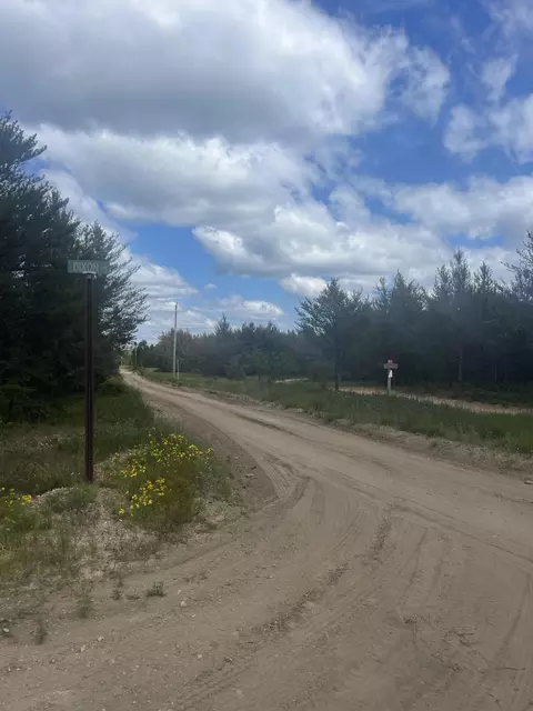 Pappys Trail, Grayling, MI 49738 photo 3
