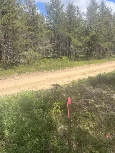 Pappys Trail, Grayling, MI 49738 photo 4