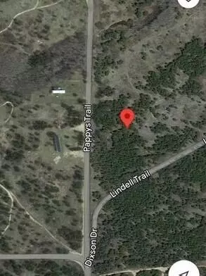 Pappys Trail, Grayling, MI 49738 photo 2