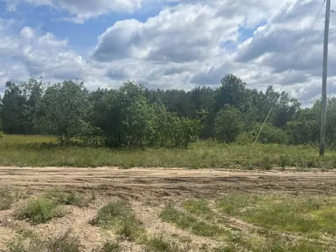 Pappys Trail, Grayling, MI 49738 photo 6