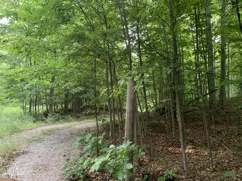 Enger Road, Posen, MI 49776