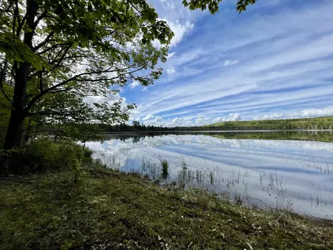 8936 Lake Sixteen Rd, Onaway, MI 49765