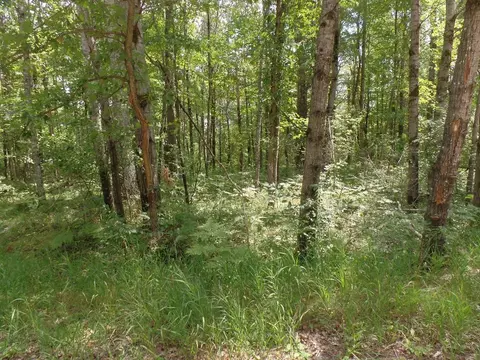 473 Deerwoodpocahontas Trail 473 Roscommon Mi 48653 Trl #473, Roscommon, MI 48653
