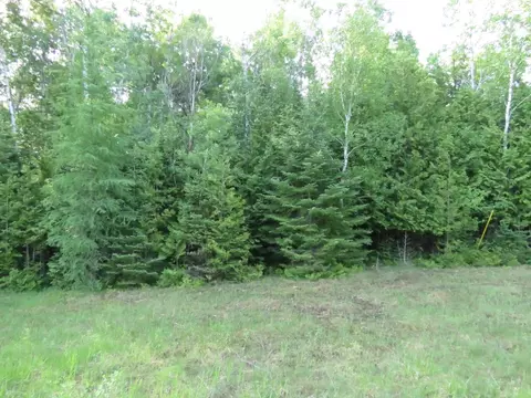 County Road 451, Rogers City, MI 49779