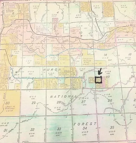 Cline Road, Mio, MI 48647
