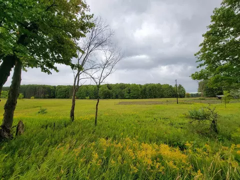 Oley Lake Road, Gaylord, MI 49735