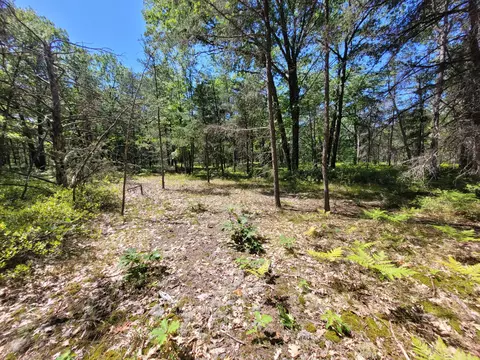 Pawnee Trail, Rogers City, MI 49779