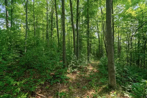 9489 Watson Rd, Wolverine, MI 49799 photo 25