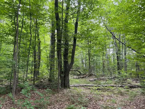 9489 Watson Rd, Wolverine, MI 49799 photo 27