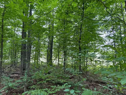9489 Watson Rd, Wolverine, MI 49799 photo 29