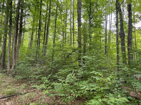 9489 Watson Rd, Wolverine, MI 49799 photo 28