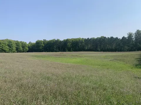 2973 N Weaver Road Fairview Mi 48621 Rd, Fairview, MI 48621