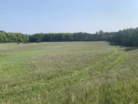 2995 N Weaver Road Fairview Mi 48621 Rd, Fairview, MI 48621