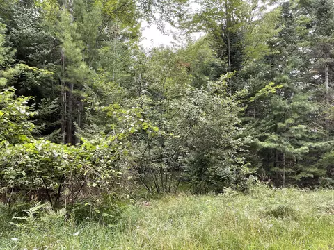 Nestle Road Lot 175, Prudenville, MI 48651