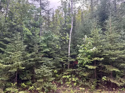 66 E 67 E Renwick Circle Presque Isle Mi 49777 Cir, Presque Isle, MI 49777