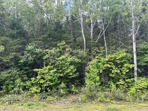 Lot 256 Bayshore Drive #256, Presque Isle, MI 49777