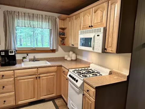 9774 Cook Trl, Grayling, MI 49738 photo 16