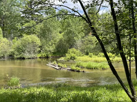 9774 Cook Trl, Grayling, MI 49738 photo 6