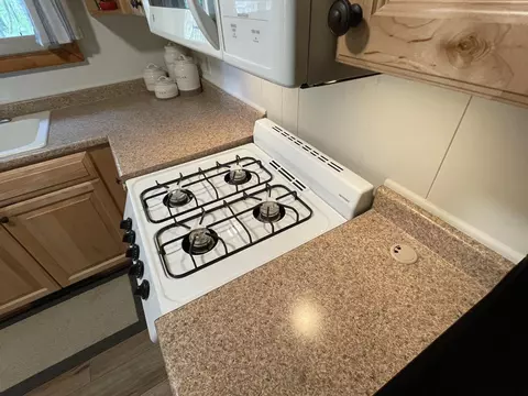 9774 Cook Trl, Grayling, MI 49738 photo 17