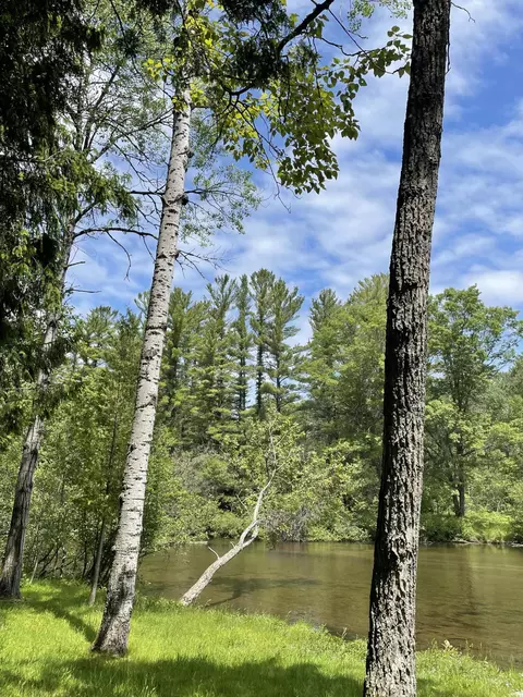 9774 Cook Trl, Grayling, MI 49738 photo 5