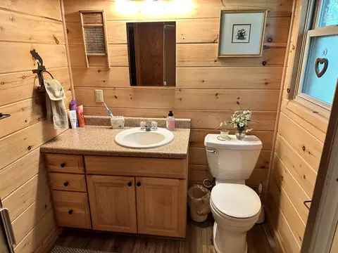 9774 Cook Trl, Grayling, MI 49738 photo 33
