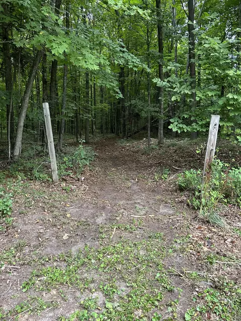 5627 Valley Rd, Alanson, MI 49706 photo 48