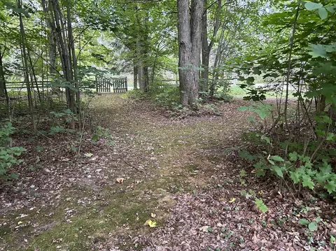 5627 Valley Rd, Alanson, MI 49706 photo 46