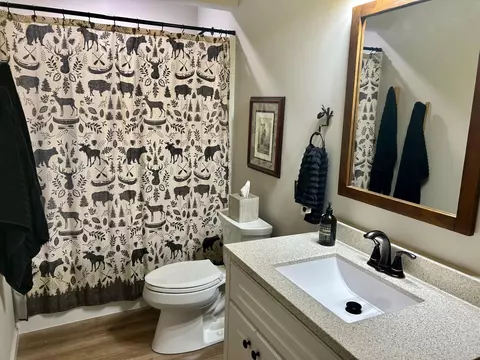 1269 Bow Ln, Grayling, MI 49738 photo 27