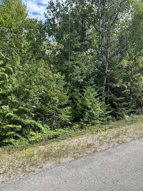 Doyle Drive Lots 103 & 104, Presque Isle, MI 49777