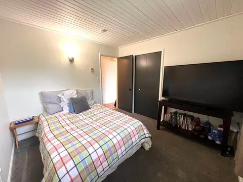 124 S E St, Cheboygan, MI 49721 photo 10