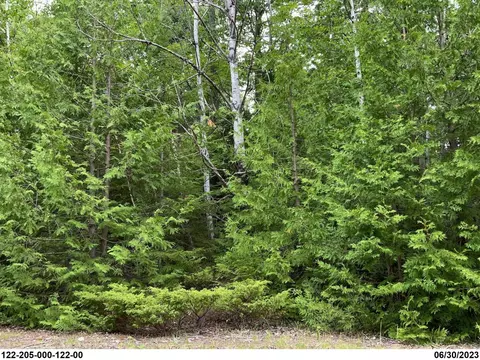 Thorton Court, Presque Isle, MI 49777