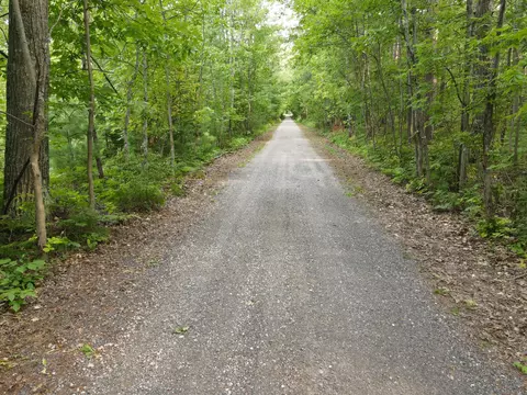 Cook Road, Lachine, MI 49753 photo 12