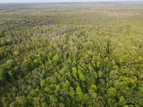 Cook Road, Lachine, MI 49753 photo 3