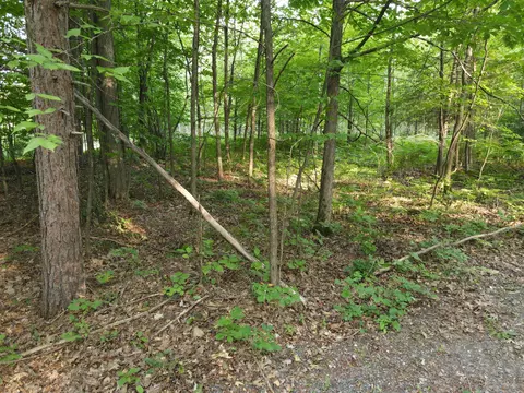 Cook Road, Lachine, MI 49753 photo 11