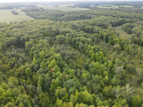 Cook Road, Lachine, MI 49753