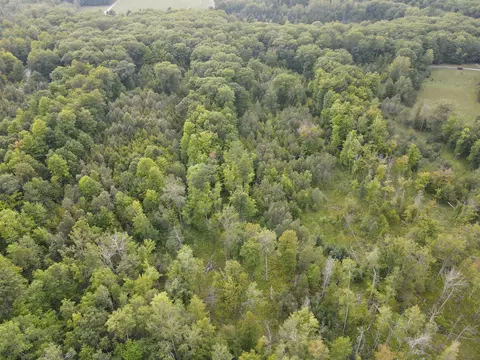 Cook Road, Lachine, MI 49753 photo 4