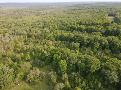 Cook Road, Lachine, MI 49753 photo 6
