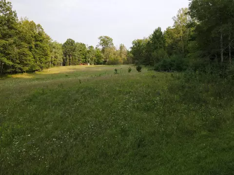 Cook Road, Lachine, MI 49753 photo 9