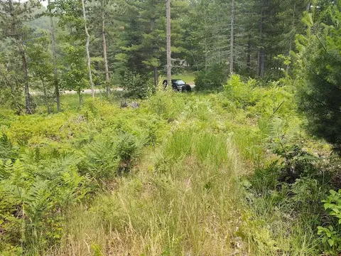 Lake May Road, Hawks, MI 49743