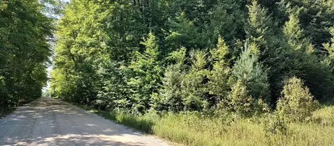 Scott Road, Wolverine, MI 49799 photo 3