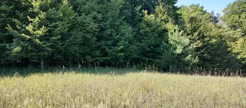 Scott Road, Wolverine, MI 49799 photo 14